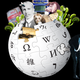 Imagen para el artículo titulado Los 100 artículos más raros de la Wikipedia